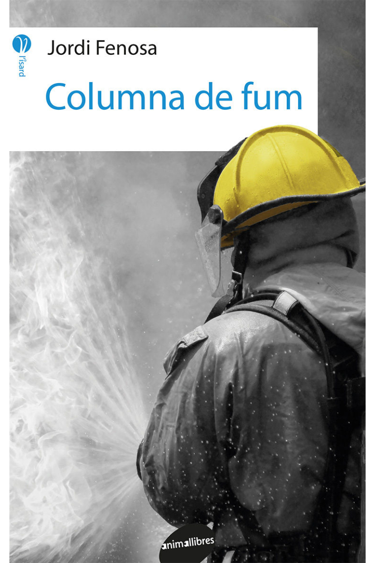 Columna de fum