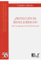 PROTECCION DE BIENES JURIDICOS