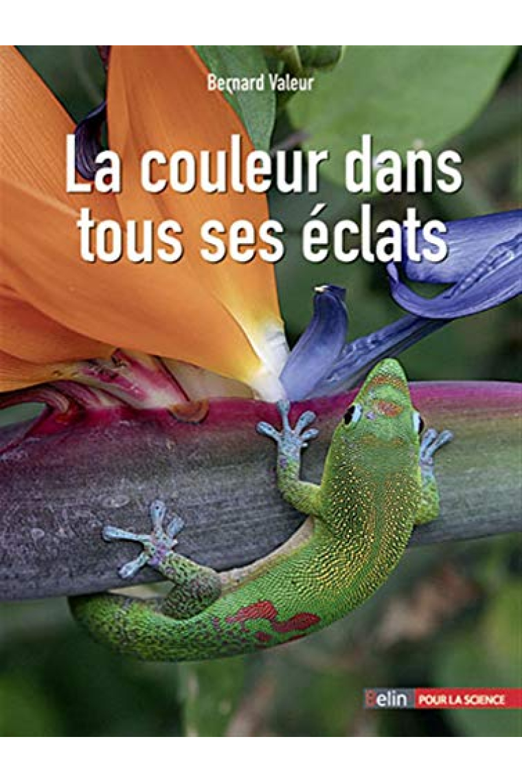 La couleur dans tous ses éclats