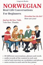 Norwegian: Real-Life Conversation for Beginners (with audios)