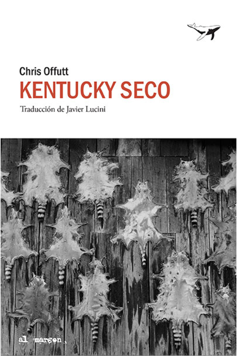 Kentucky seco