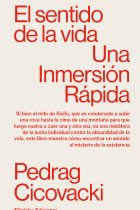 El sentido de la vida: una inmersión rápida