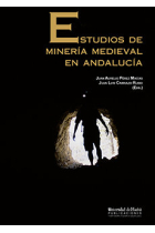 Estudios de minería medieval en Andalucía