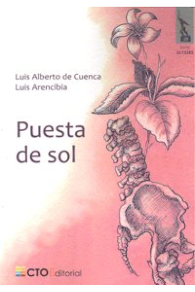 PUESTA DE SOL