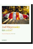 Joel Meyerowitz: ¿en color?