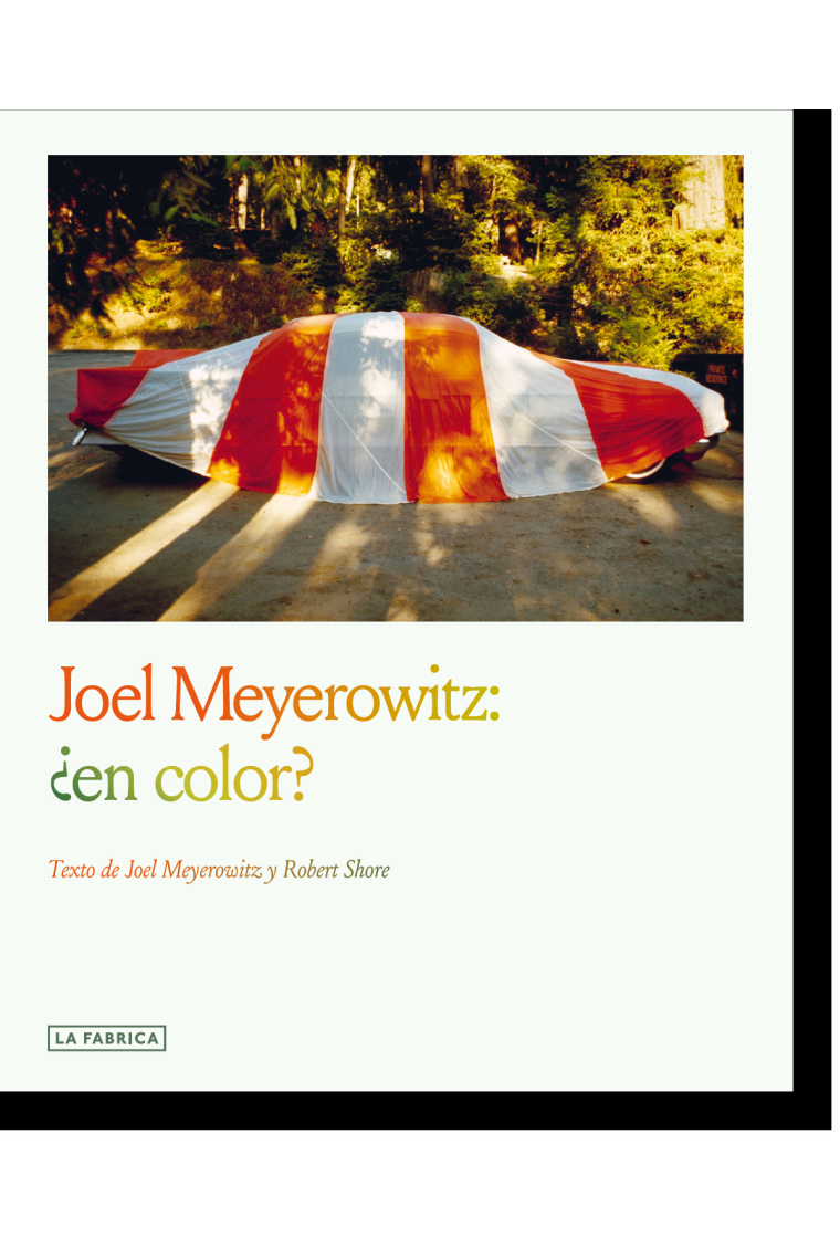 Joel Meyerowitz: ¿en color?