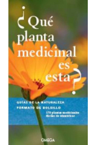 ¿Qué planta medicinal es esta? 170 plantas medicinales fáciles de identificar