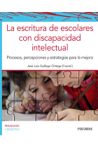 La escritura de escolares con discapacidad intelectual. Procesos, percepciones y estrategias para la mejora