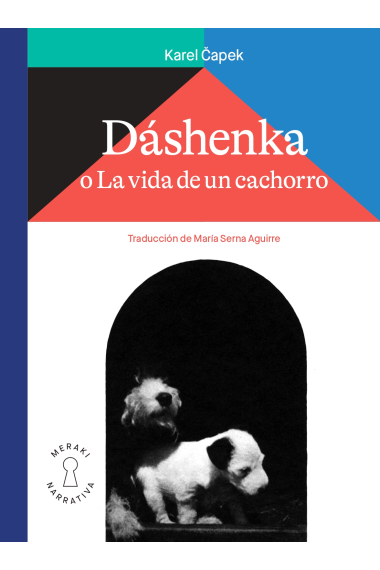 Dáshenka o La vida de un cachorro