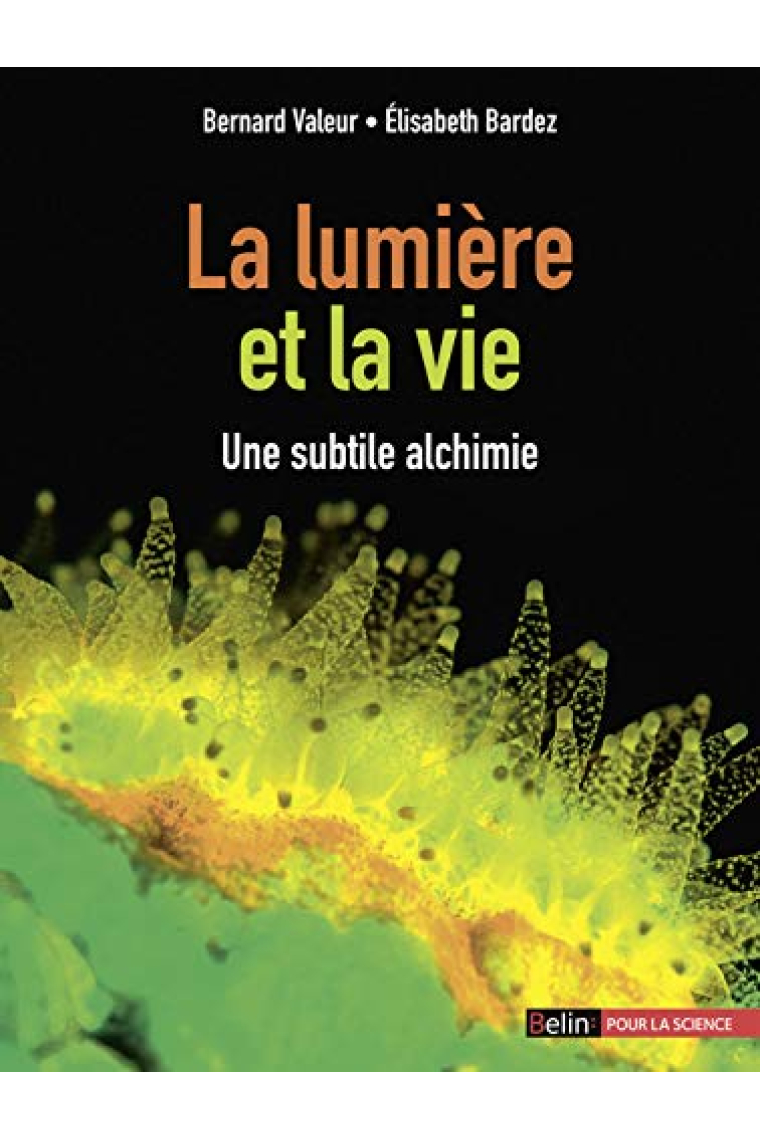 La lumière et la vie: Une subtile alchimie