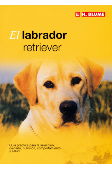 El labrador retrevier