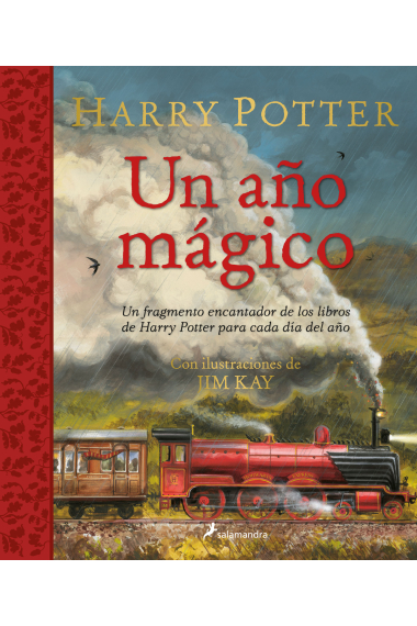 Un año mágico (Harry Potter)