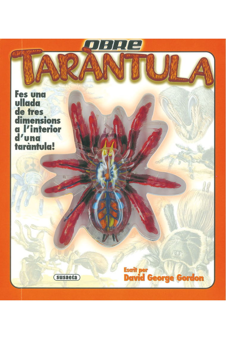 TARANTULA