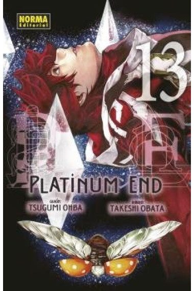 PLATINUM END 13