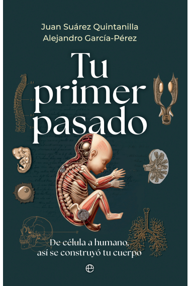 Tu primer pasado. De célula a humano, así se construyó tu cuerpo