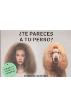 ¿Te pareces a tu perro? Empareja perros y humanos