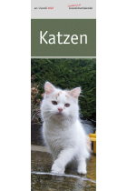 Katzen Lesezeichenkalender 2025