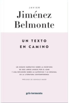 Un texto en camino: un ensayo narrativo sobre la escritura de dos libros unidos por el azar y una reflexión sobre lo auténtico y progonal en la literatura contemporánea