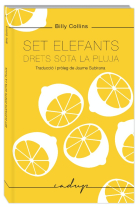 Set elefants drets sota la pluja