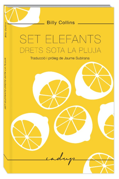 Set elefants drets sota la pluja