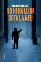 No hi ha llum sota la neu