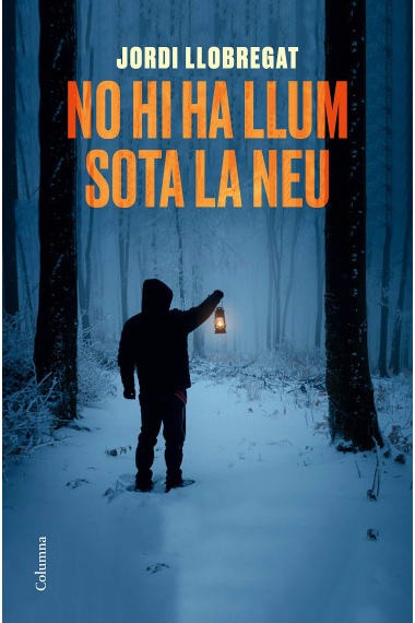 No hi ha llum sota la neu