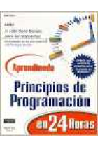 Aprendiendo principios de programación en 24 horas