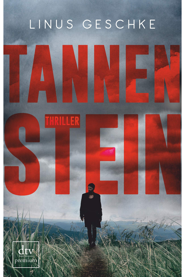 Tannenstein