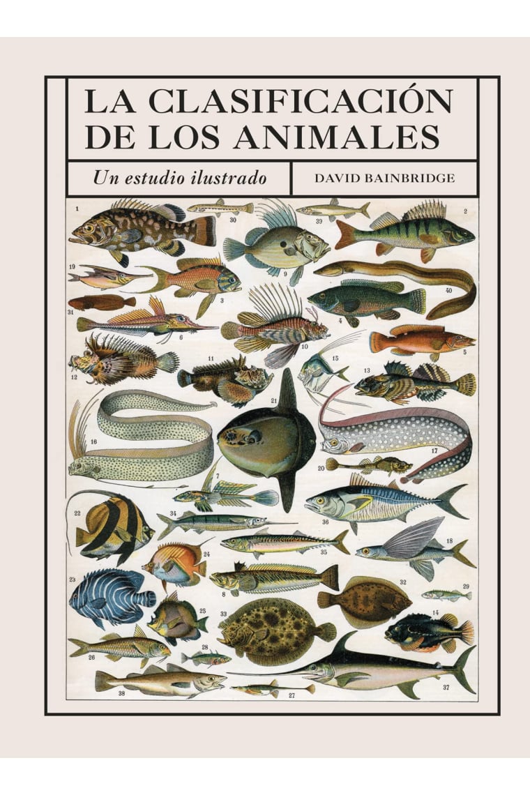 La clasificación de los animales. Un estudio ilustrado