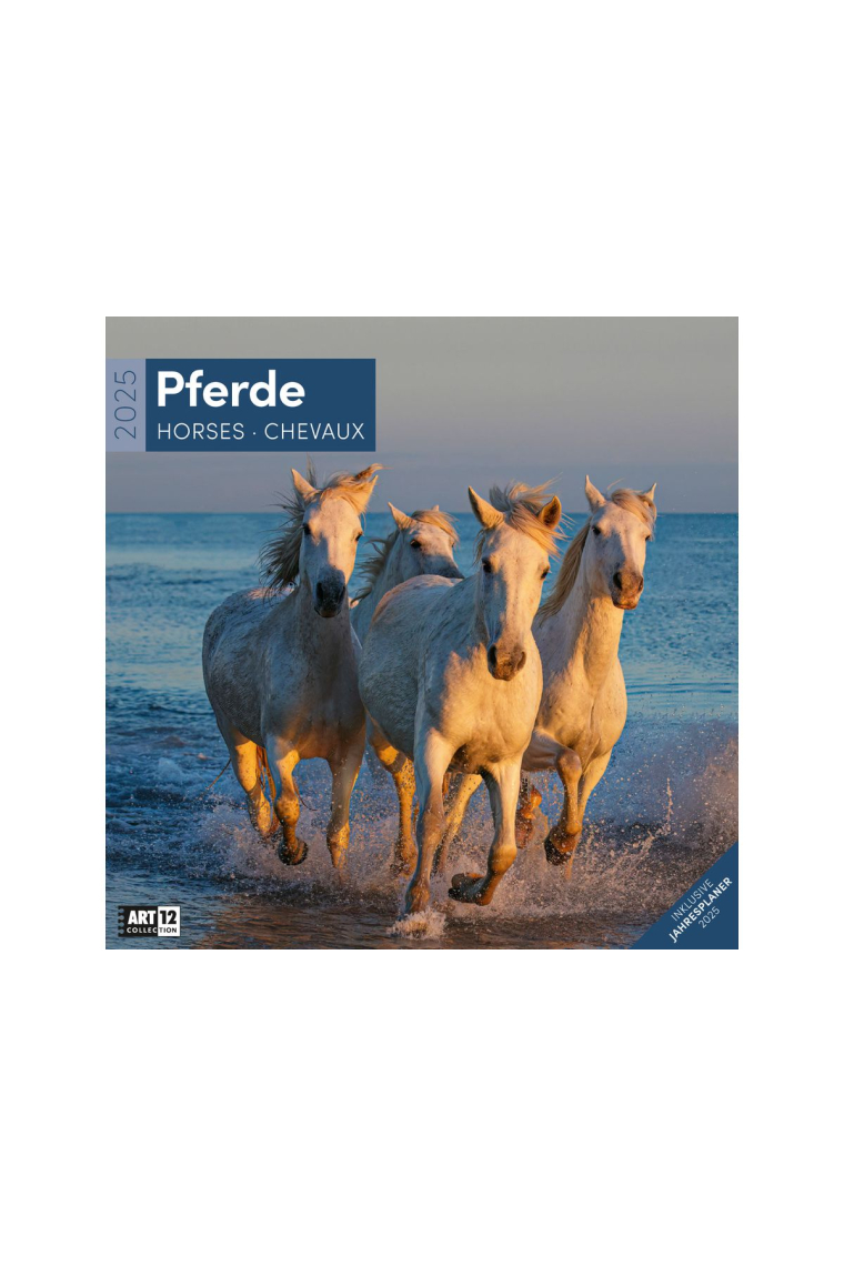 Pferde Kalender 2025 - 30x30
