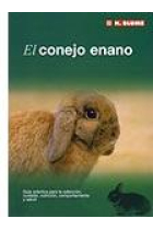 El conejo enano