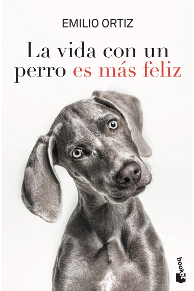 La vida con un perro es más feliz