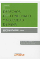 Derechos del condenado y necesidad de pena (Papel + e-book)