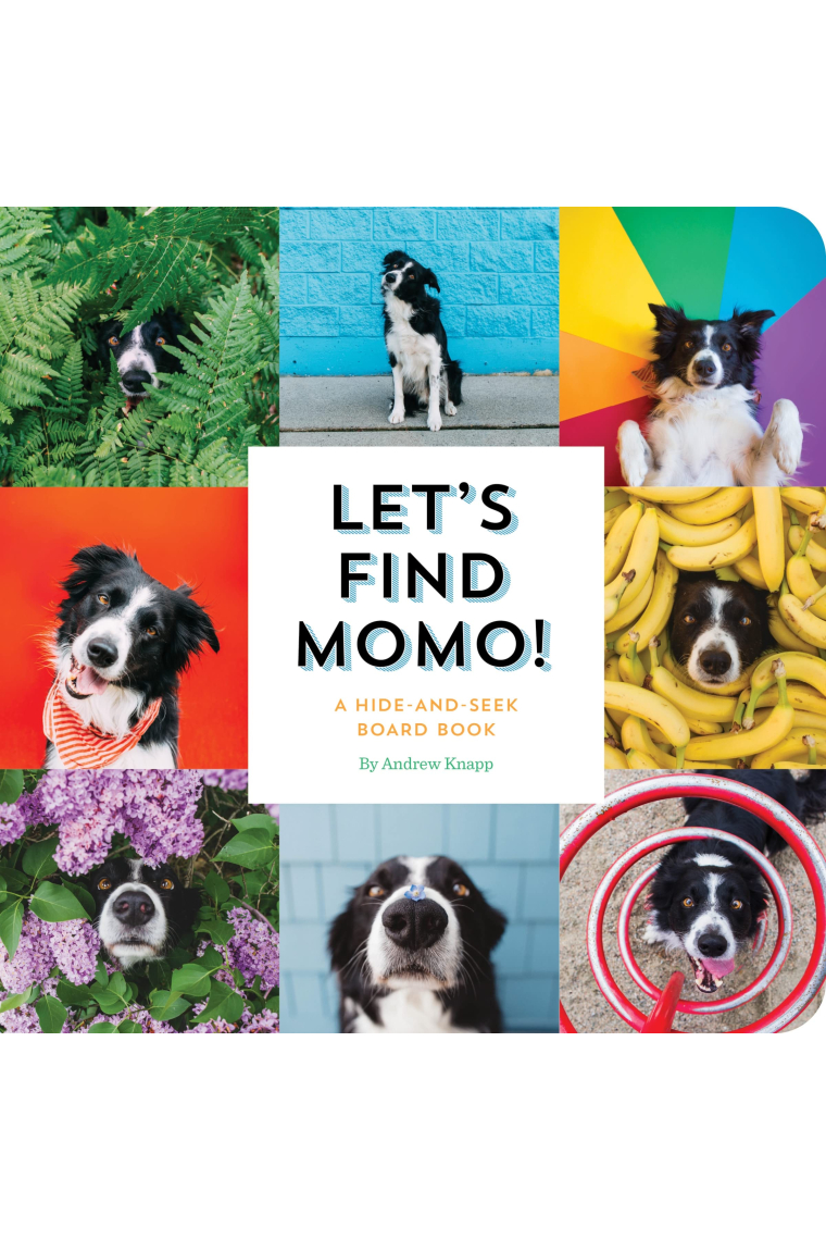 Let's Find Momo!: A Hide-and-Seek Board Book