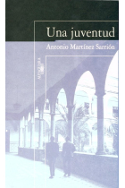 Una juventud (Memorias II)