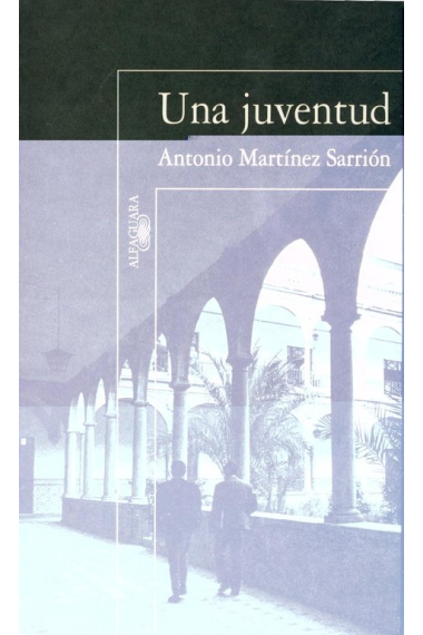 Una juventud (Memorias II)