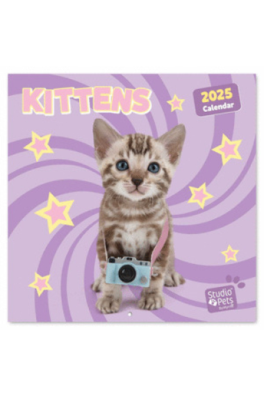 CALENDARIO 2025 30X30 STUDIO PETS KITTENS