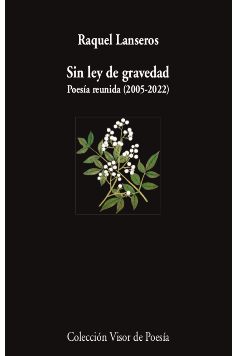 Sin ley de gravedad. Poesía reunida