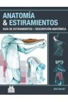 Anatomía y estiramientos