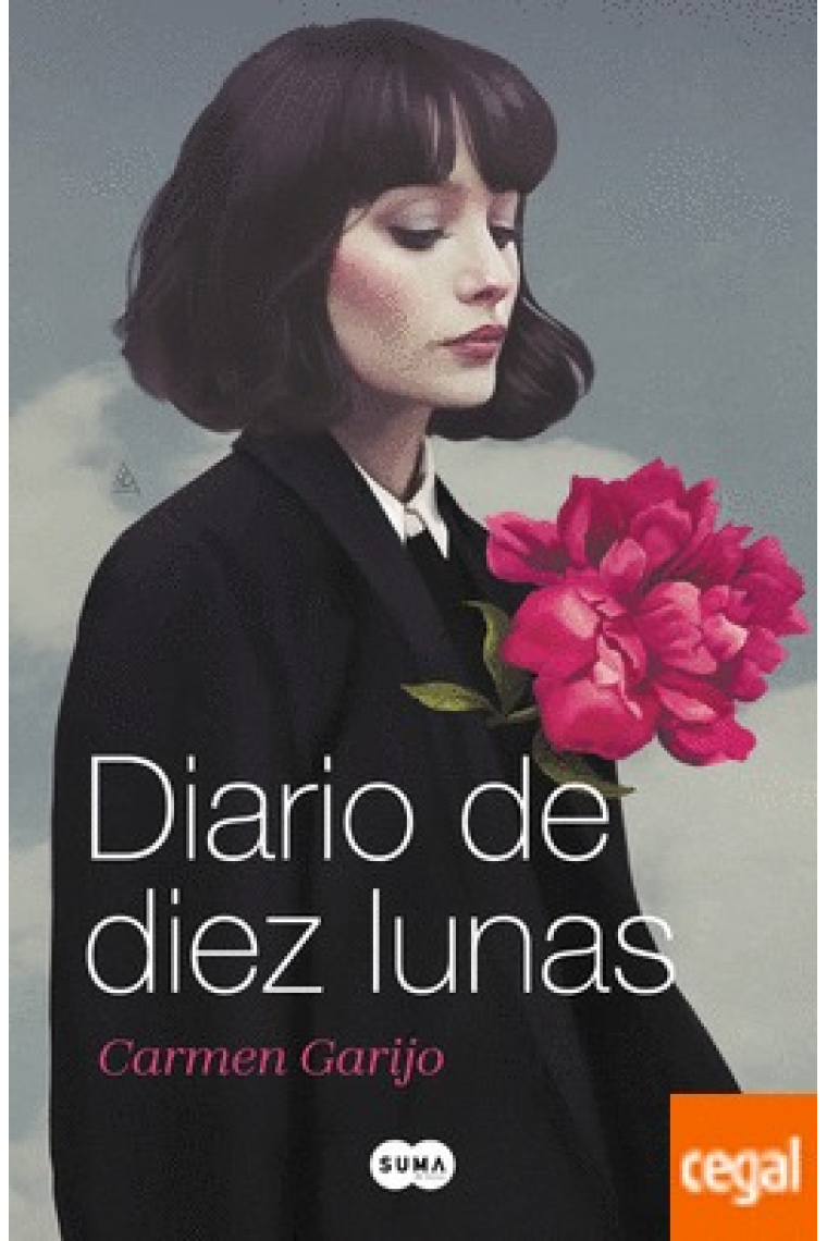 Diario de diez lunas