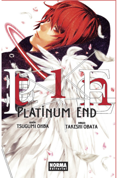 Platinum End 1