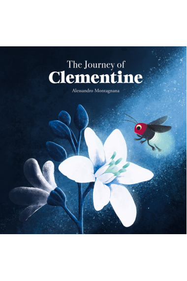 THE JOURNEY OF CLEMENTINE