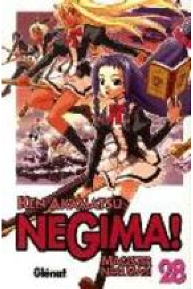 Negima! Magister Negi Magi 28