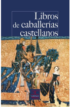 Libros de caballerías castellanos: los textos que pudo leer Don Quijote