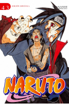 Naruto 43