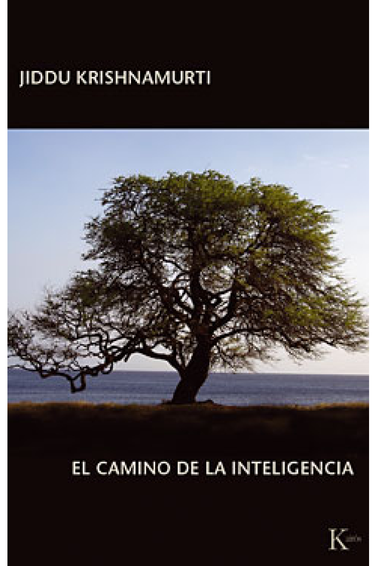 El camino de la inteligencia