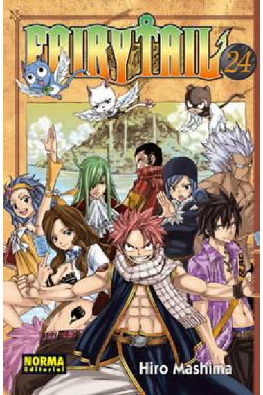 Fairy Tail 24