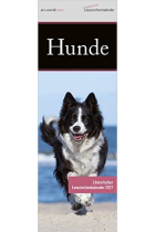 Hunde Lesezeichenkalender 2025