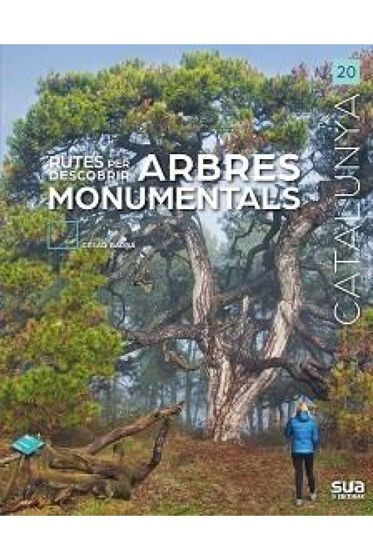 Rutes per descobrir arbres monumentals. Catalunya