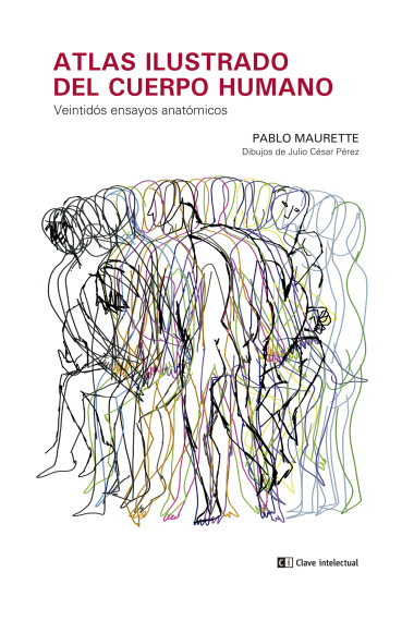 Atlas ilustrado del cuerpo humano. Veintidós ensayos anatómicos